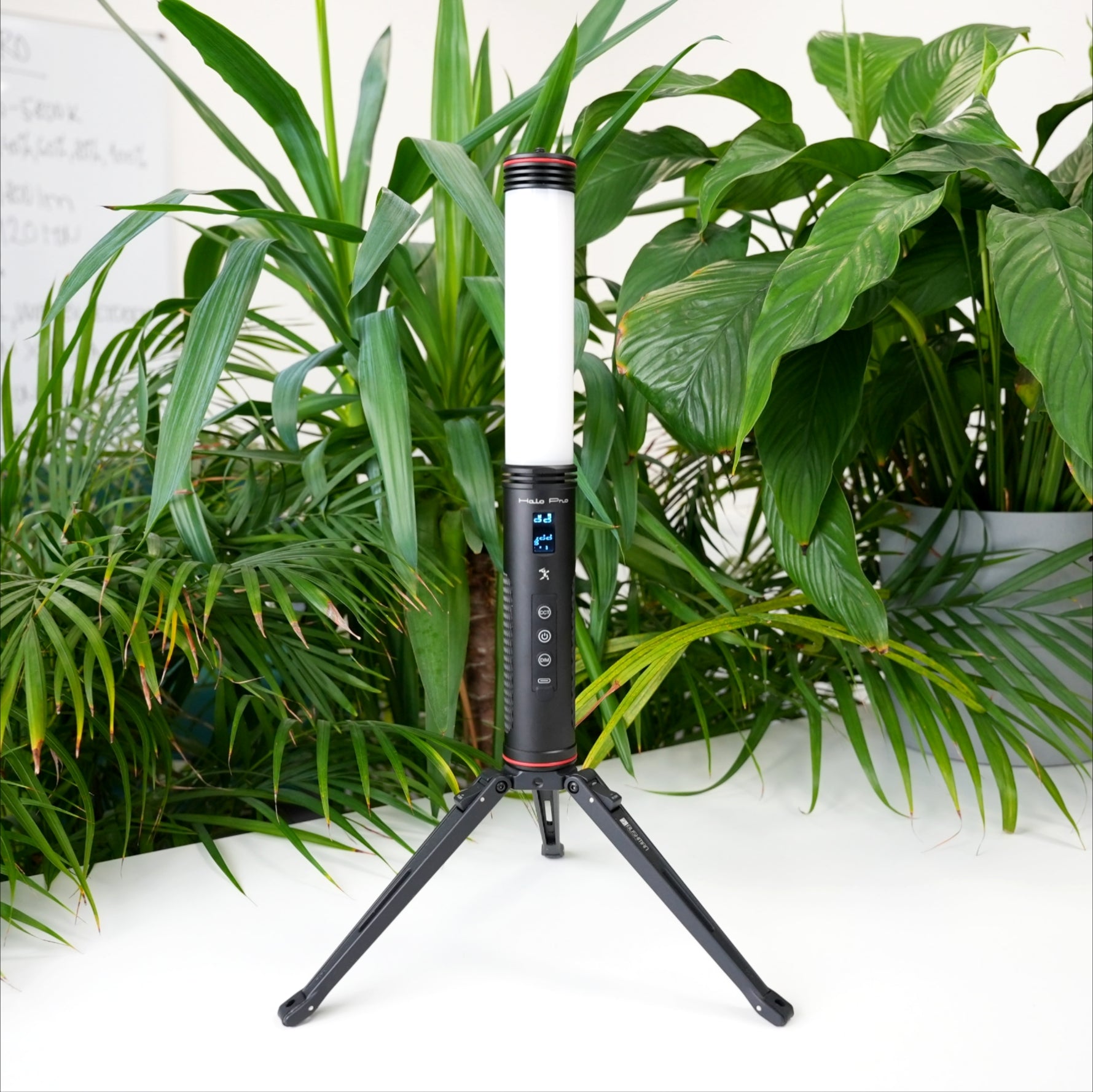 Lights – Bushman Panoramic